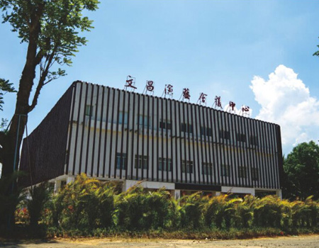 文昌市政府文化活动中心
